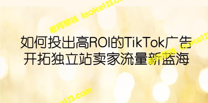 如何获得高ROI的TikTok广告效果,并拓展独立站卖家的流量。 - 老柯聊钱 如何获得高ROI的TikTok广告效果,并拓展独立站卖家的流量。 - 老柯聊钱