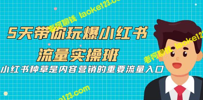 5天爆玩小红书,轻松搞定流量营销 5天爆玩小红书,轻松搞定流量营销