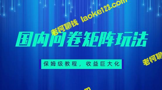 国内问卷矩阵:简洁原创的轻松赚钱指南 国内问卷矩阵:简洁原创的轻松赚钱指南